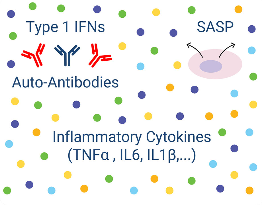 Inflammatory cytokines - diagram